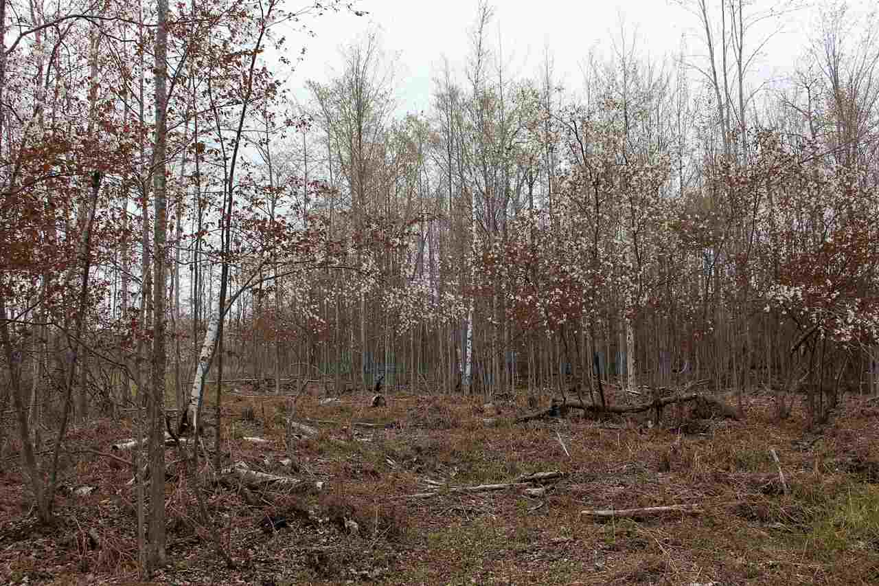 0 Nine North Nine Mile Road Pinconning, MI 48650 - Photo 7 of 32