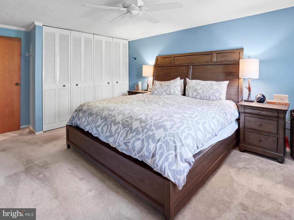 4317 Zircon Road Middletown, MD 21769 - Photo 33 of 60 Master Bedroom