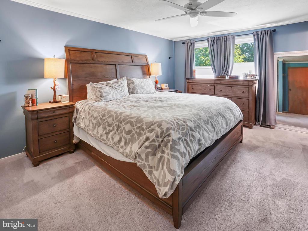 4317 Zircon Road Middletown, MD 21769 - Photo 34 of 60 Master Bedroom