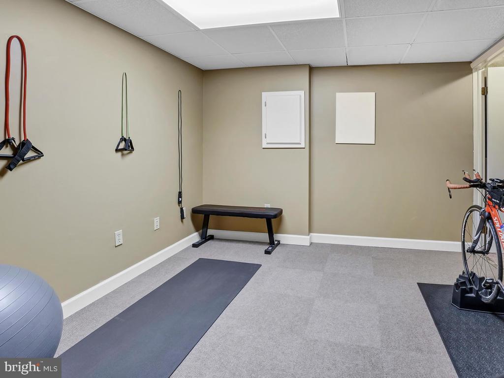4317 Zircon Road Middletown, MD 21769 - Photo 40 of 60 Basement- Gym