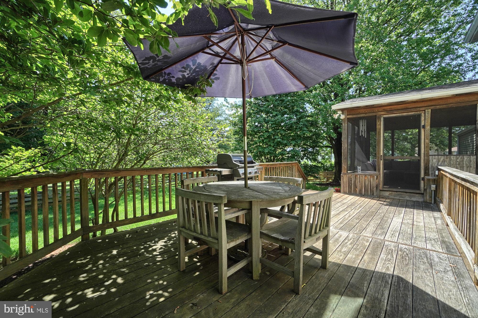 4317 Zircon Road Middletown, MD 21769 - Photo 46 of 60 Deck