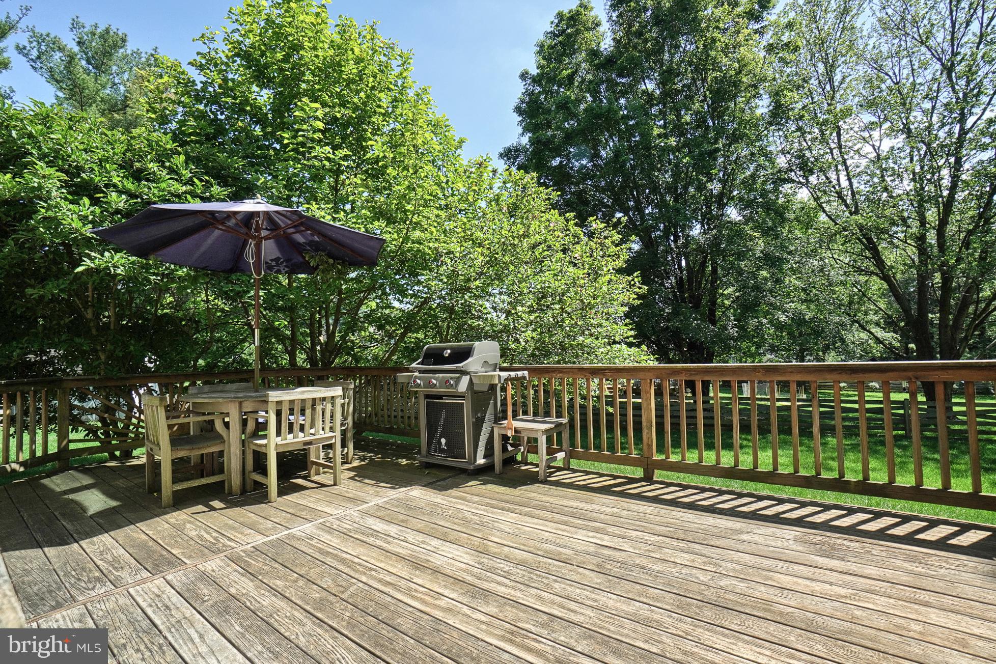4317 Zircon Road Middletown, MD 21769 - Photo 47 of 60 Deck