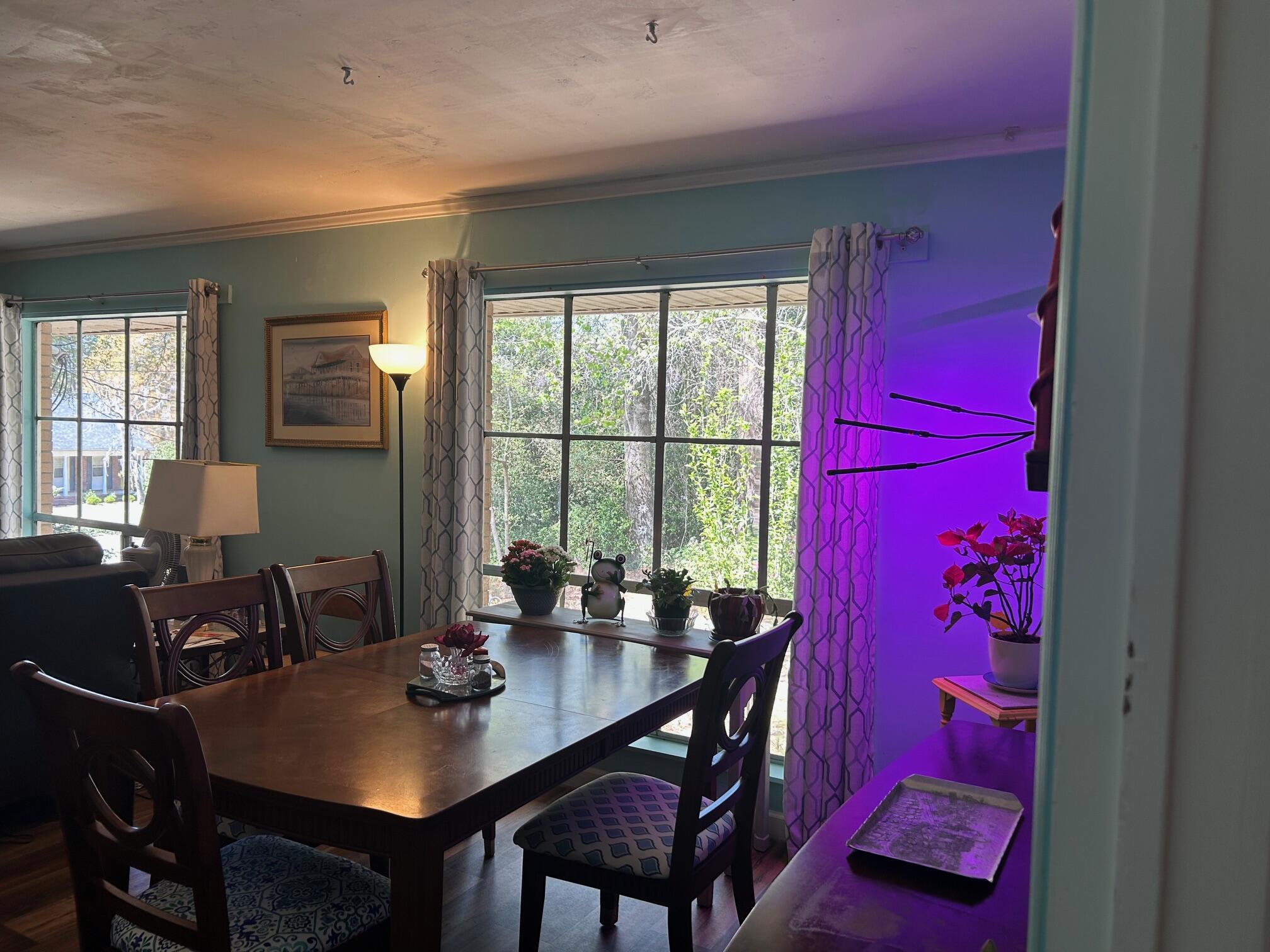 1000 County Rd S-45-185 Kingstree, SC 29556 - Photo 1 of 9 IMG_6953