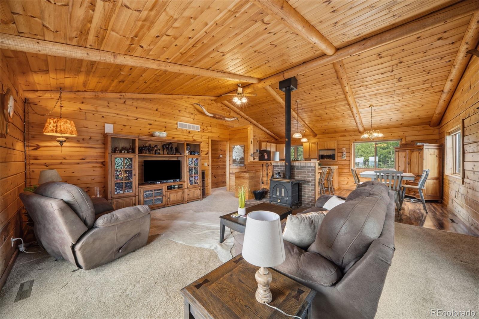 4269 Cedar Mountain Road Divide, CO 80814 - Photo 5 of 37