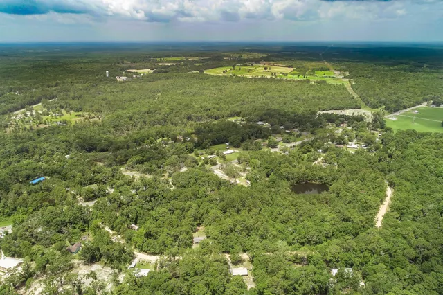 $14,500 | Lot 15 Blue Creek Road, Ponce de Leon, FL 32455