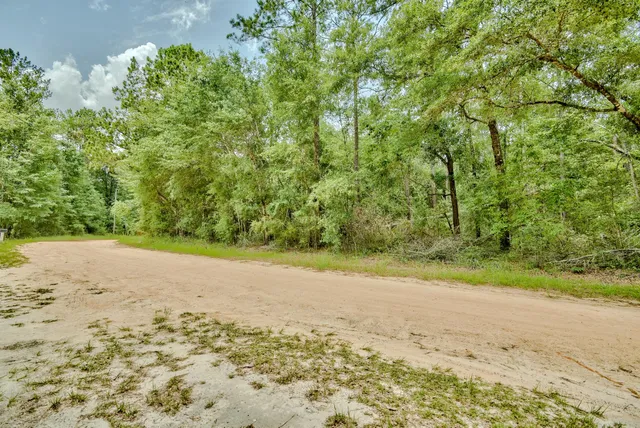 $14,500 | Lot 15 Blue Creek Road, Ponce de Leon, FL 32455