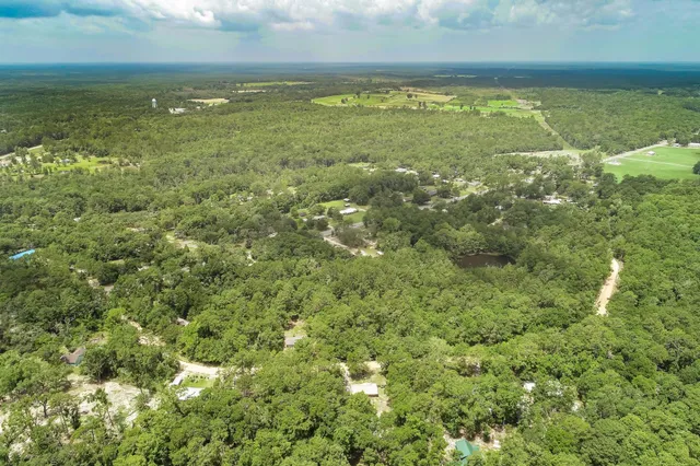 $14,500 | Lot 15 Blue Creek Road, Ponce de Leon, FL 32455