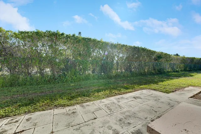 a view of a park with large trees