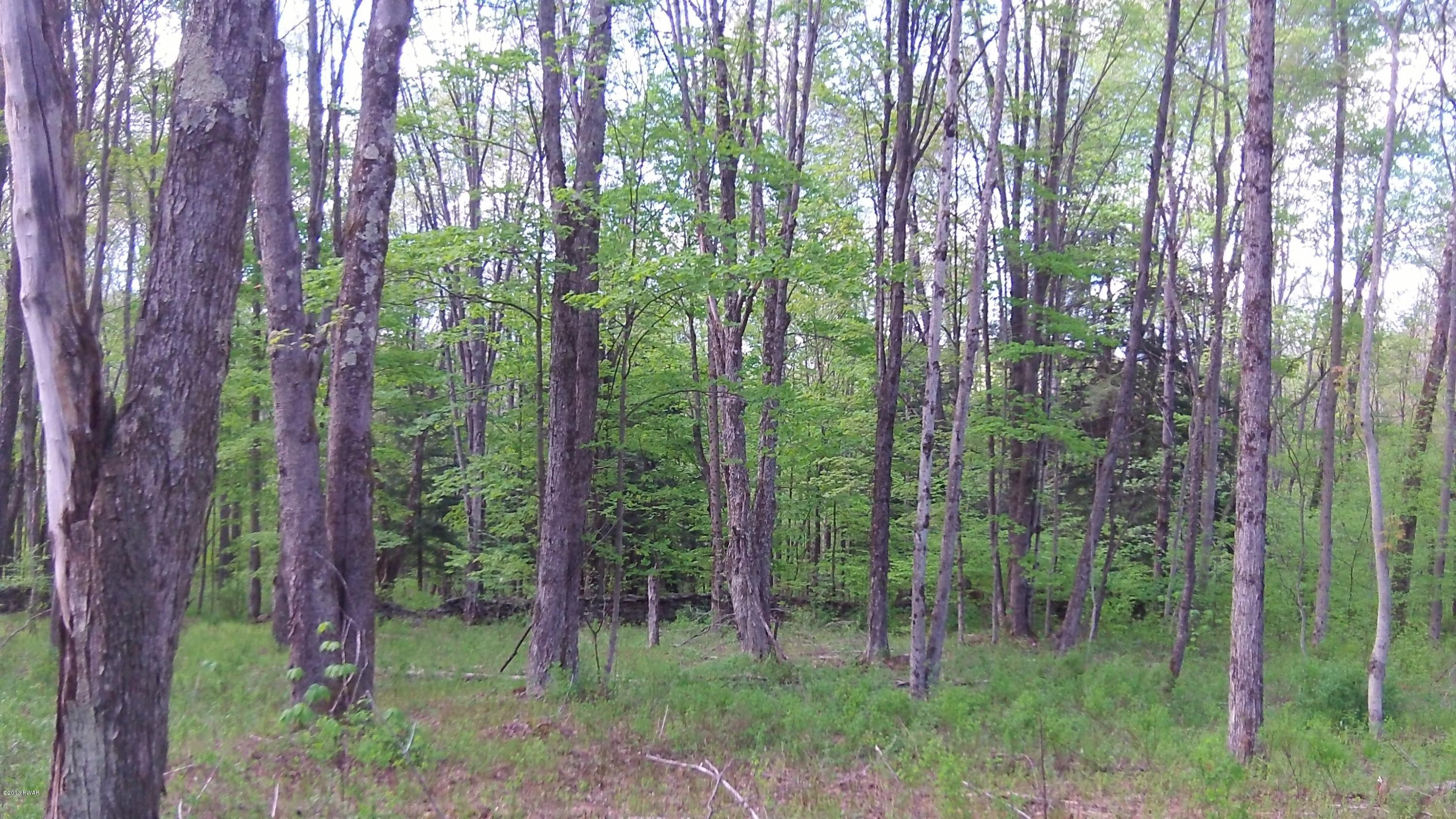 Rd Road Hancock, NY 13783 - Photo 23 of 27
