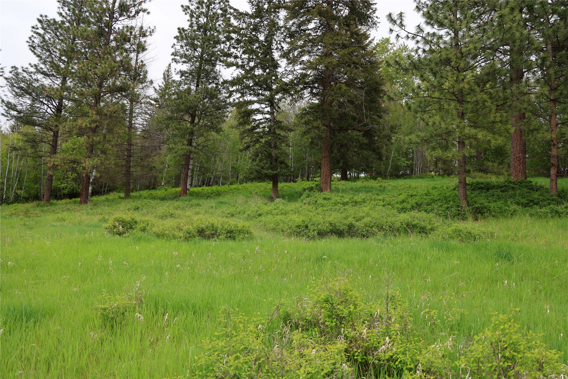 41694 Canal Road Ronan, MT 59864 - Photo 38 of 69 Gallery Image 38