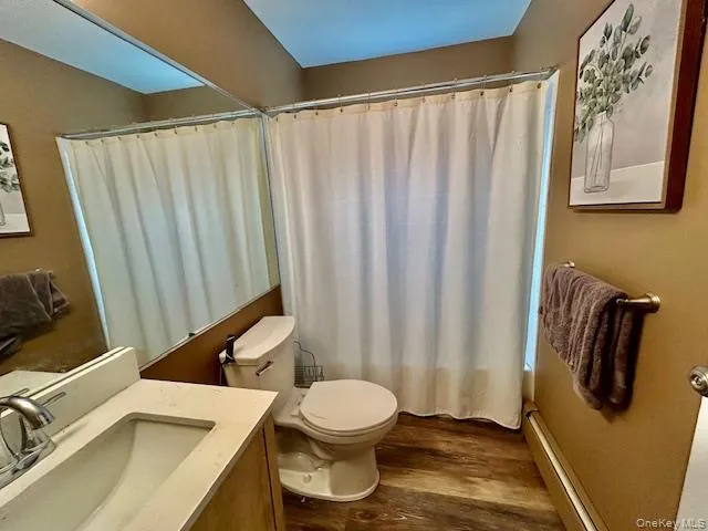 a bathroom with a sink and a toilet