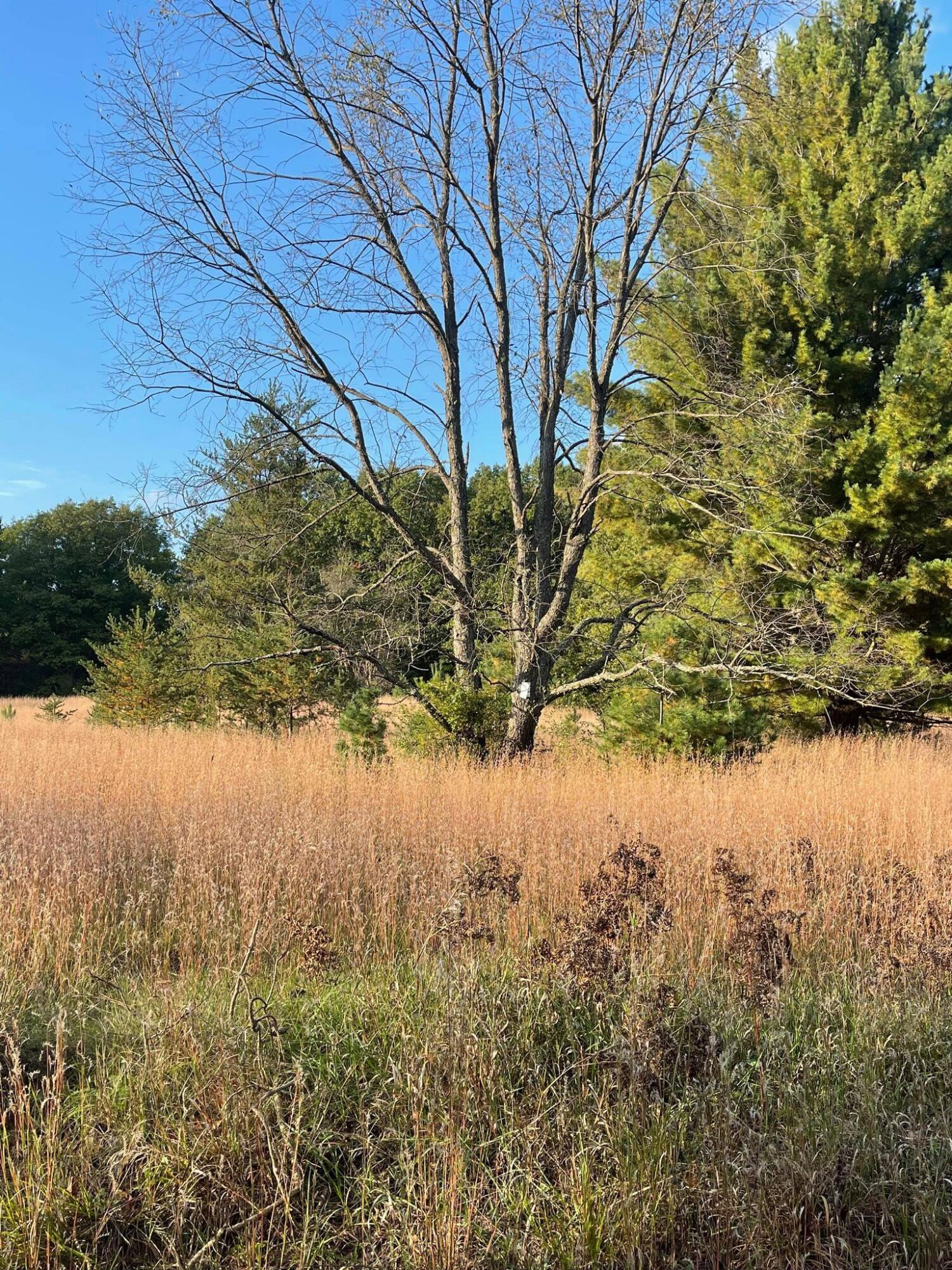 B East B E Ehler Road Branch, MI 49402 - Photo 2 of 2 244659132_1006151120163457_8289593210184