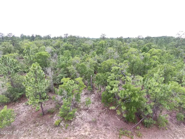 $5,950 | Lot 10 Newcomb Avenue, Chipley, FL 32428
