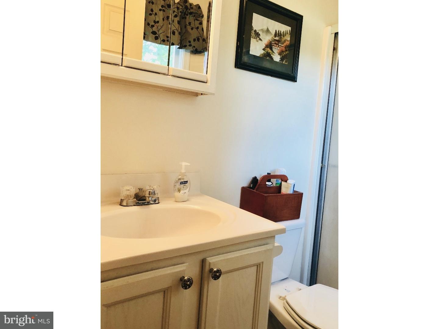 2339 Halltown Road Hartly, DE 19953 - Photo 16 of 23 Master Bathroom
