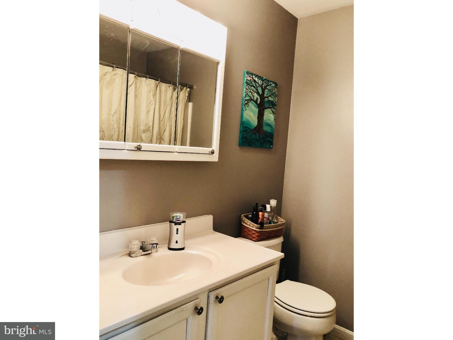 2339 Halltown Road Hartly, DE 19953 - Photo 9 of 23 Bathroom