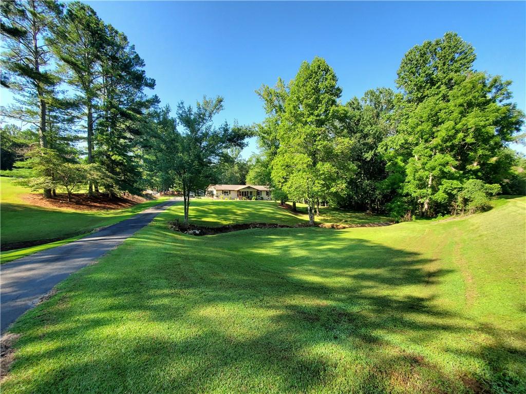 606 Keetor Road Talking Rock, GA 30175 - Photo 53 of 93 a view of a park with large trees