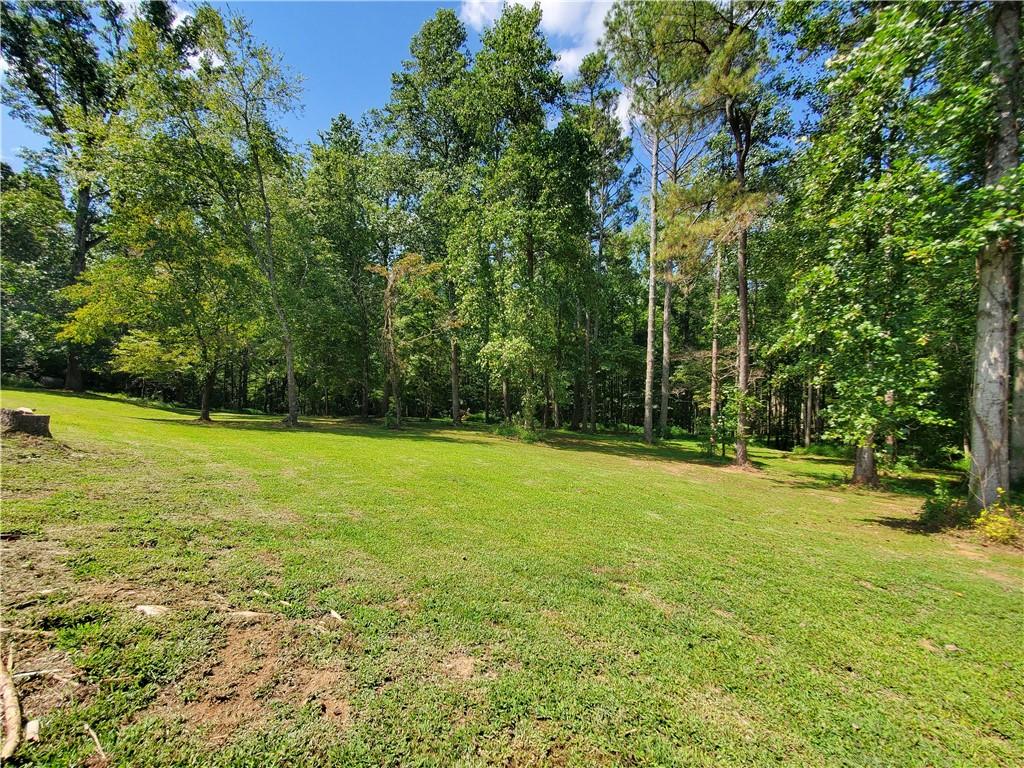 606 Keetor Road Talking Rock, GA 30175 - Photo 59 of 93