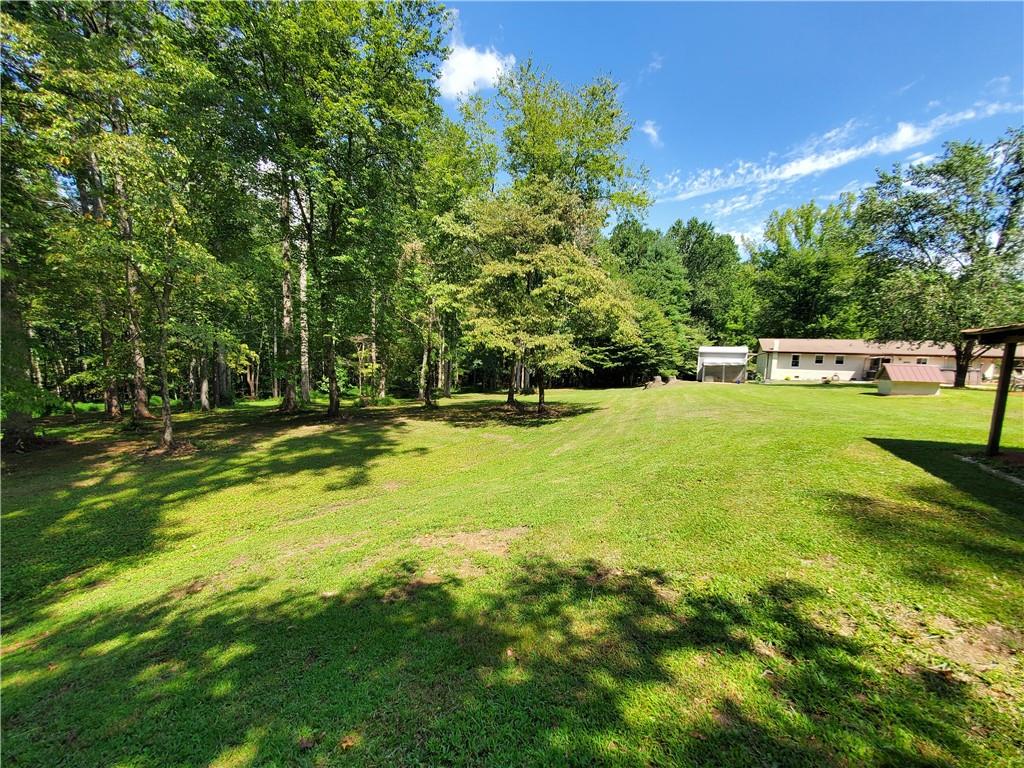 606 Keetor Road Talking Rock, GA 30175 - Photo 60 of 93 a view of yard with swimming pool and green space