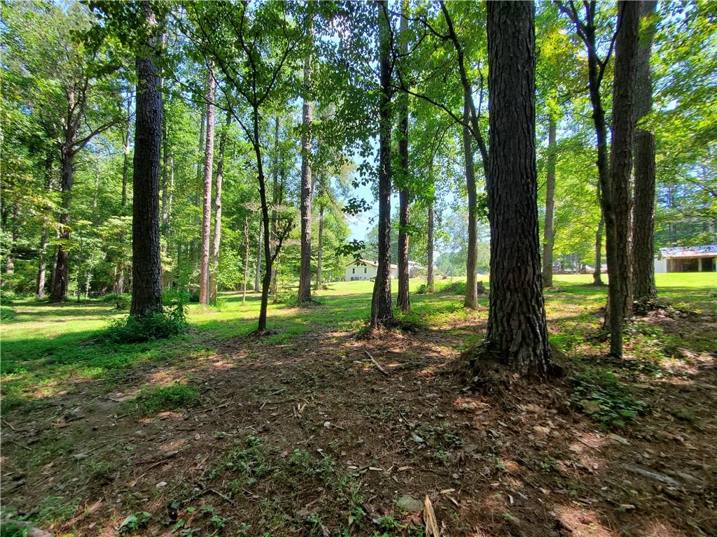 606 Keetor Road Talking Rock, GA 30175 - Photo 63 of 93