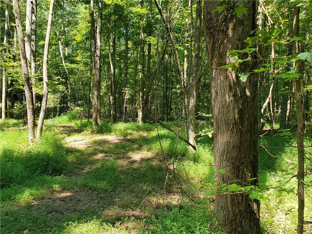 606 Keetor Road Talking Rock, GA 30175 - Photo 65 of 93