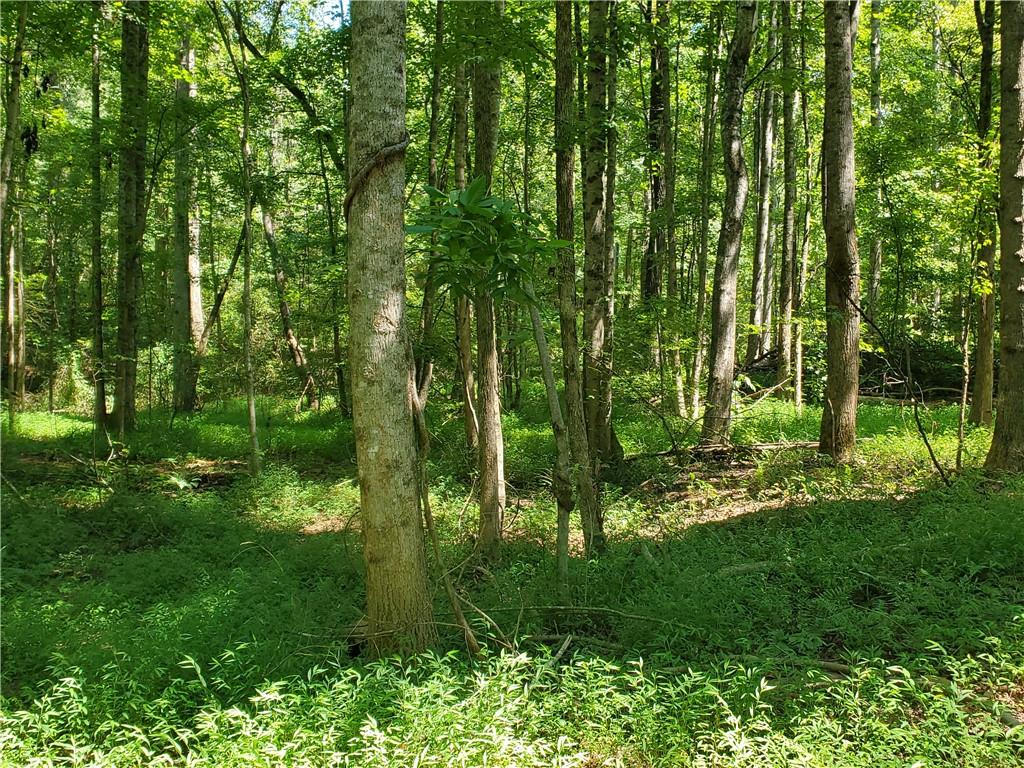 606 Keetor Road Talking Rock, GA 30175 - Photo 66 of 93 a view of a garden