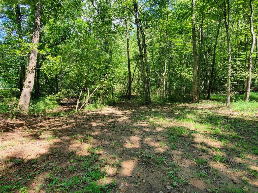 606 Keetor Road Talking Rock, GA 30175 - Photo 68 of 93 a view of outdoor space with trees all around