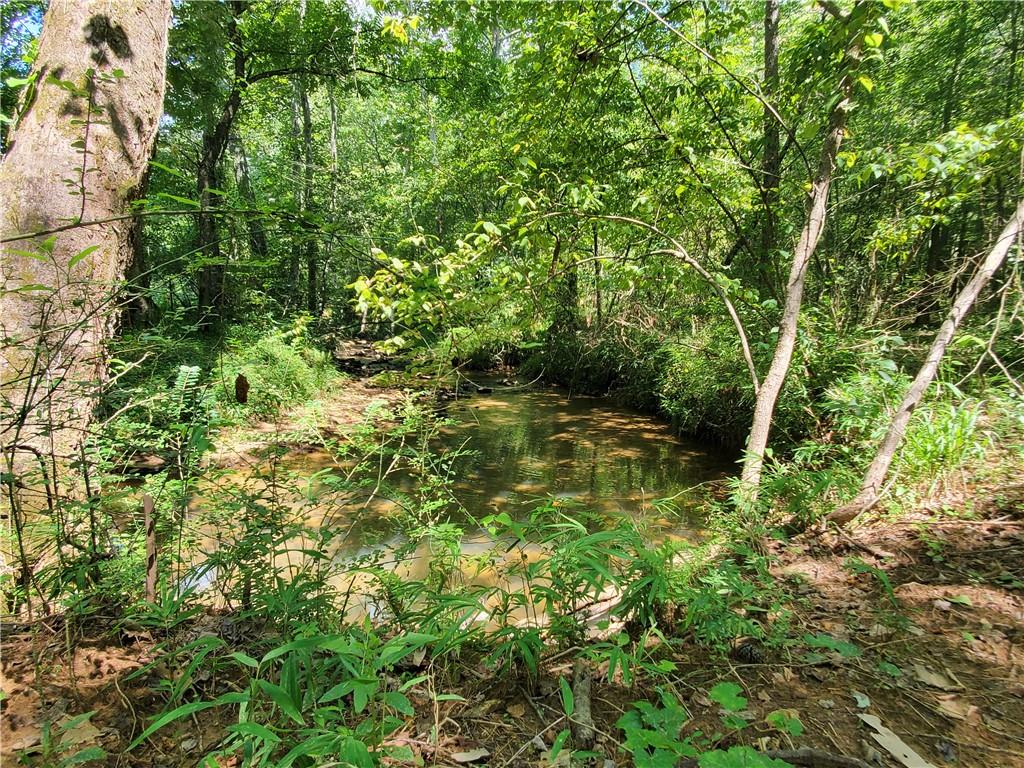 606 Keetor Road Talking Rock, GA 30175 - Photo 69 of 93