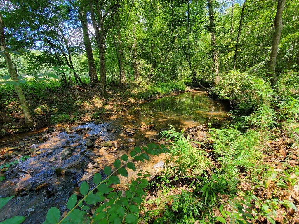 606 Keetor Road Talking Rock, GA 30175 - Photo 71 of 93 a backyard of a house with lots of green space