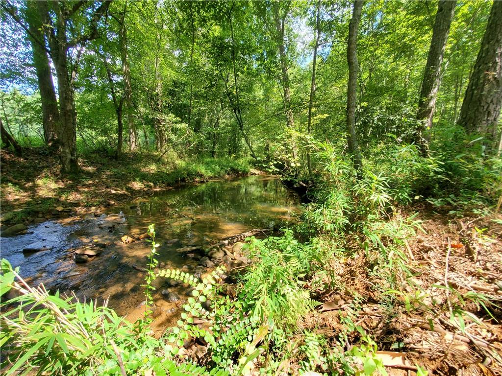 606 Keetor Road Talking Rock, GA 30175 - Photo 72 of 93 a view of a lush green forest with lots of trees