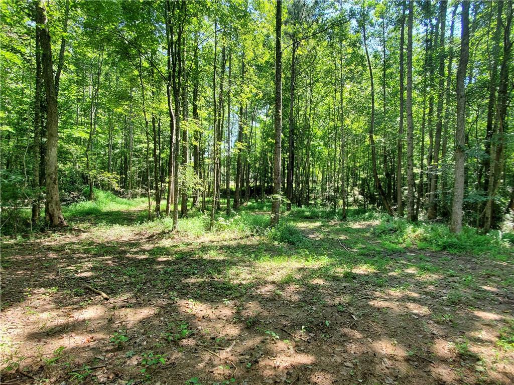 606 Keetor Road Talking Rock, GA 30175 - Photo 73 of 93 a big yard with lots of green space and trees