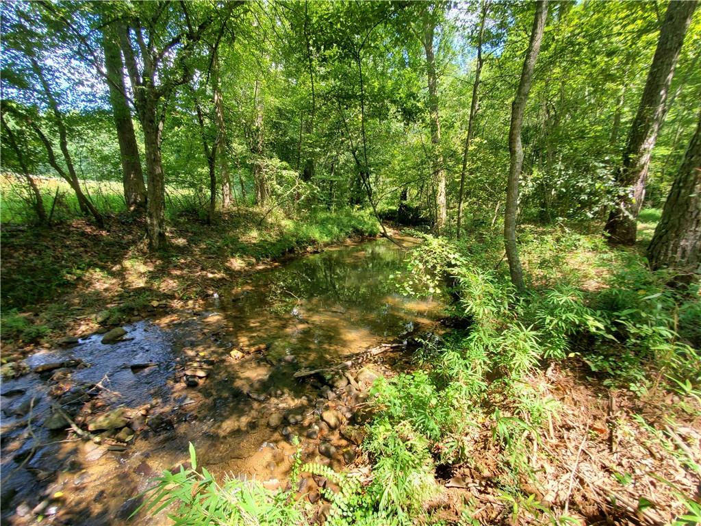 606 Keetor Road Talking Rock, GA 30175 - Photo 74 of 93