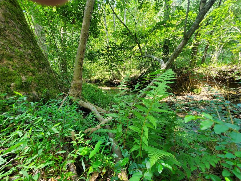 606 Keetor Road Talking Rock, GA 30175 - Photo 75 of 93