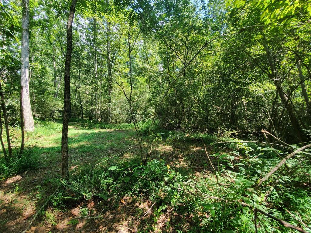 606 Keetor Road Talking Rock, GA 30175 - Photo 77 of 93