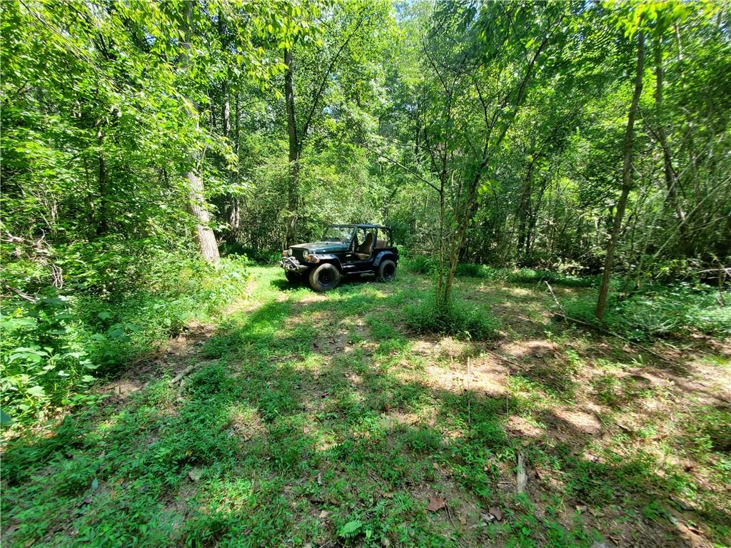 606 Keetor Road Talking Rock, GA 30175 - Photo 78 of 93