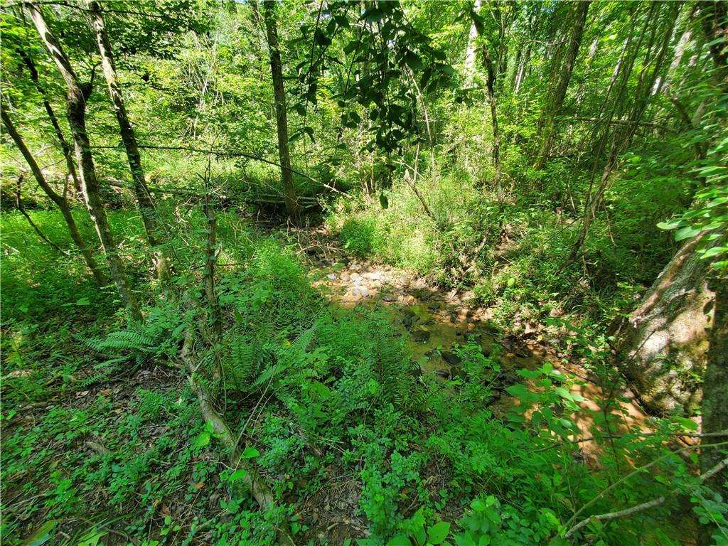 606 Keetor Road Talking Rock, GA 30175 - Photo 79 of 93 a view of a lush green forest