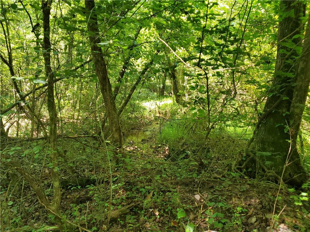 606 Keetor Road Talking Rock, GA 30175 - Photo 80 of 93