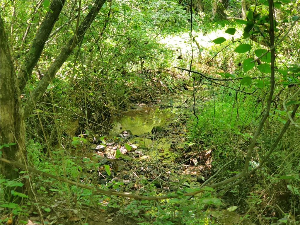 606 Keetor Road Talking Rock, GA 30175 - Photo 81 of 93 a view of a yard