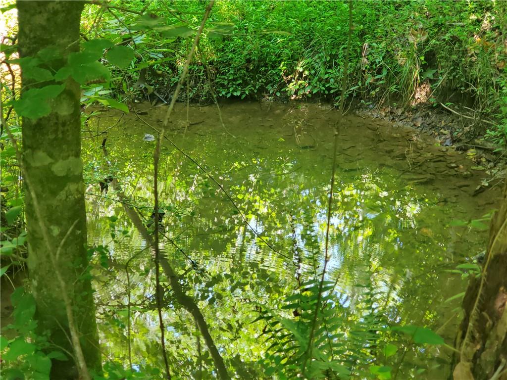 606 Keetor Road Talking Rock, GA 30175 - Photo 82 of 93 a view of lake with green space