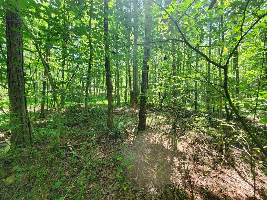 606 Keetor Road Talking Rock, GA 30175 - Photo 84 of 93 a view of forest