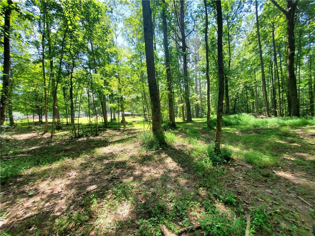 606 Keetor Road Talking Rock, GA 30175 - Photo 90 of 93