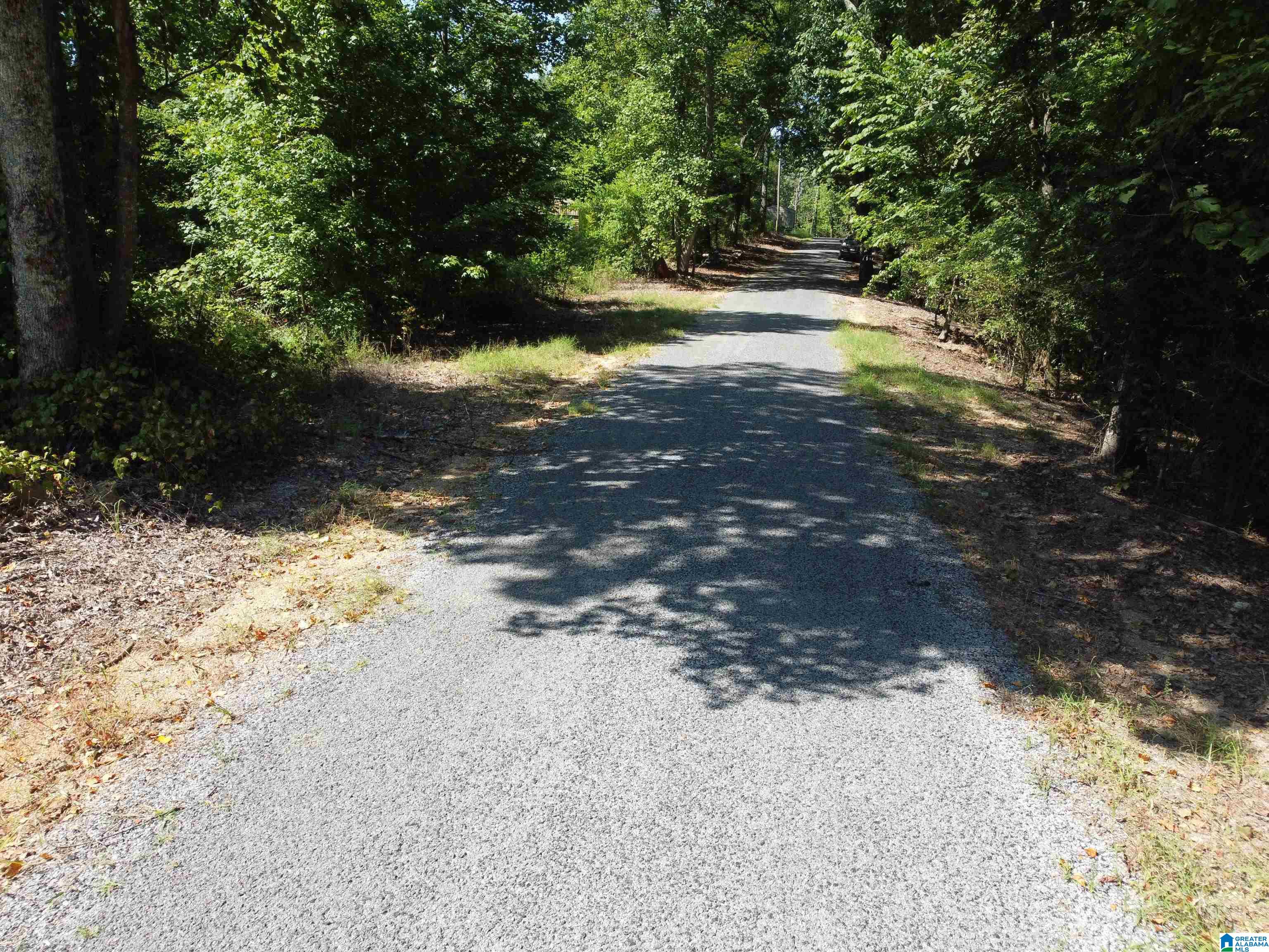 0 Beaver Mountain Road Ashville, AL 35953 - Photo 31 of 40