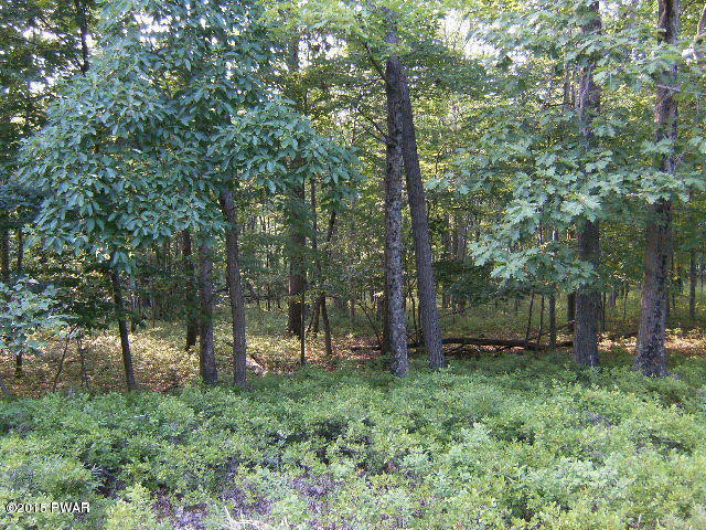Lot #82 Hickory Road Dingmans Ferry, PA 18328 - Photo 1 of 1