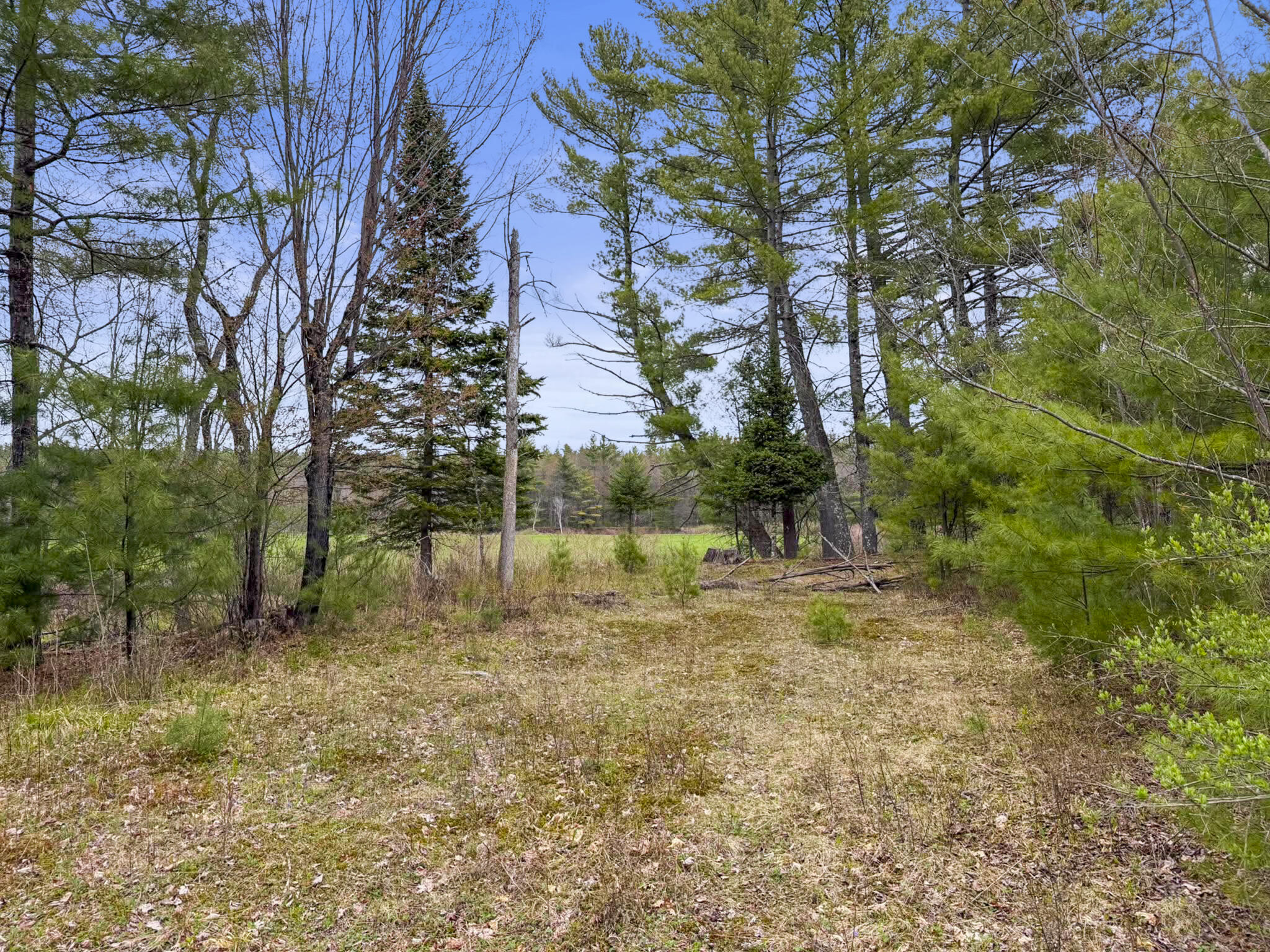 64 Coburn Road Carthage, ME 04224 - Photo 31 of 44