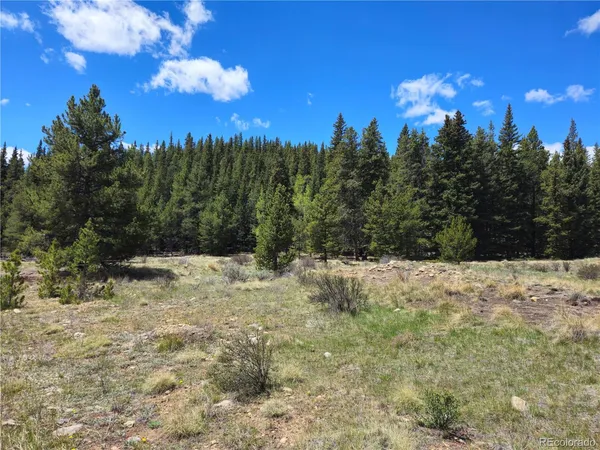 $339,000 | Looney Lane, Alma, CO 80420