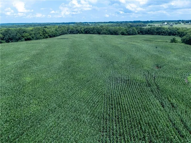 $1,056,000 | State Route, Hamilton, MO 64644