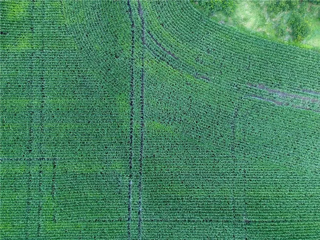 $1,056,000 | State Route, Hamilton, MO 64644