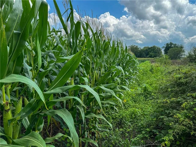 $1,056,000 | State Route, Hamilton, MO 64644