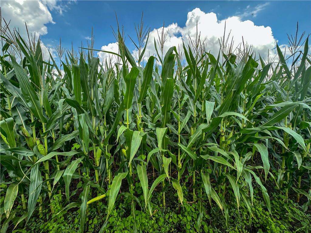 State Route Hamilton, MO 64644 - Photo 25 of 42
