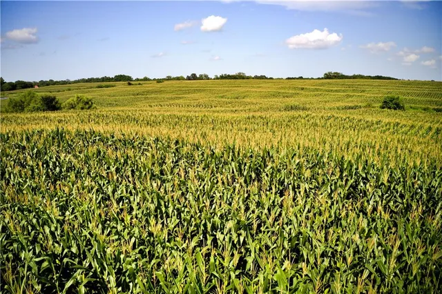 $1,056,000 | State Route, Hamilton, MO 64644