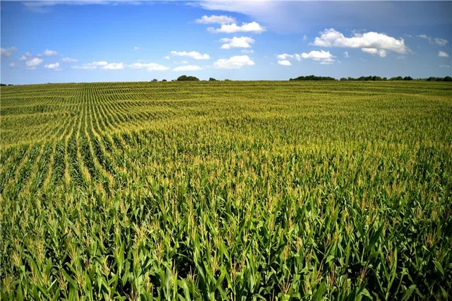 $1,056,000 | State Route, Hamilton, MO 64644